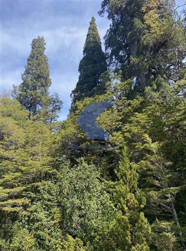 Imagen 9 de 11 de Increíble Terreno Para Conservación En Venta En Cochamo