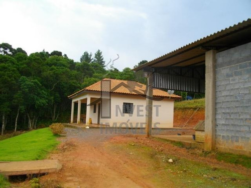 Cód 2596 - Ótimo Sítio Com 25 Alqueires, Sendo 20 Alqueires - 2596