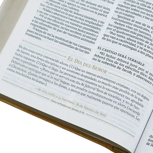 Biblia Reina Valera Revisada Reflexiones De C. S. Lewis T/d