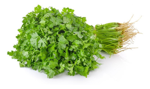 Semillas De Cilantro Precoz Certificado Para Sembrar 125g