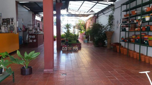 Venta Lote De 13 X 43m² Apróx. C/2 Locales 2 Propiedades S/av. Gaona