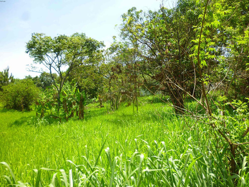 Imagem 17 de 18 de Terreno A Venda, Colinas De Indaiatuba Ii, Indaiatuba - Tr01633 - 4229579