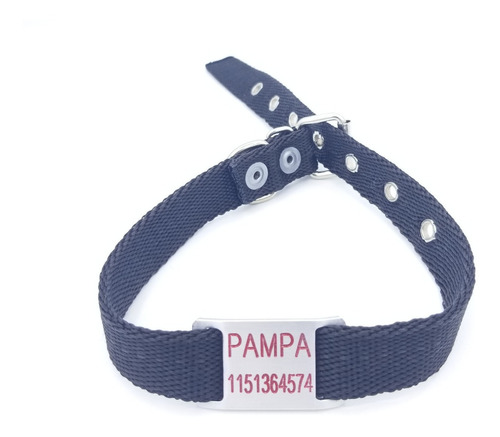 Chapita Para Perro Pasador Chico (modelo 28) +collar Negro