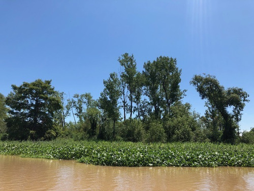 Venta De Hermoso Campo En Villa Paranacito