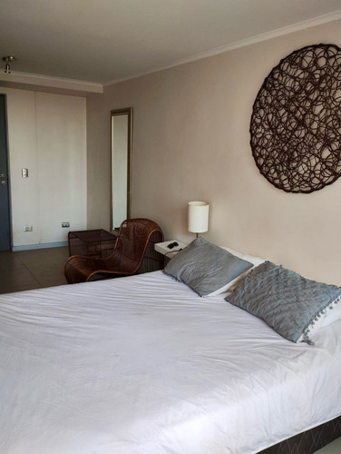 Studio Con Balcon A Pasos De Metro Moneda (85659)