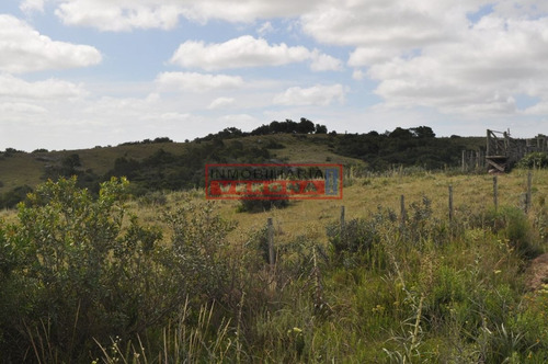 Imagen 16 de 30 de Venta Campo Ubicado En Garzón