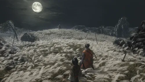 Sekiro Shadows Die Twice Ps4