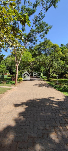 Imagem 17 de 19 de Casa Á Venda E Para Aluguel Em Parque Da Represa - Ca004069