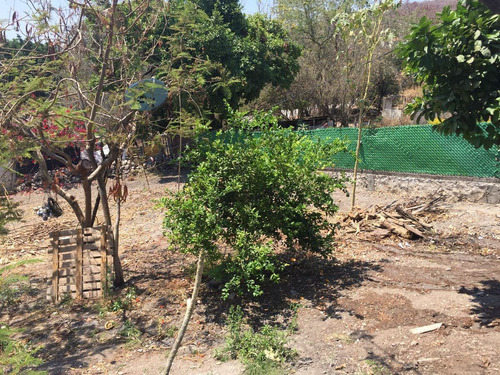 Imagen 6 de 9 de Terreno En Venta En Morelos