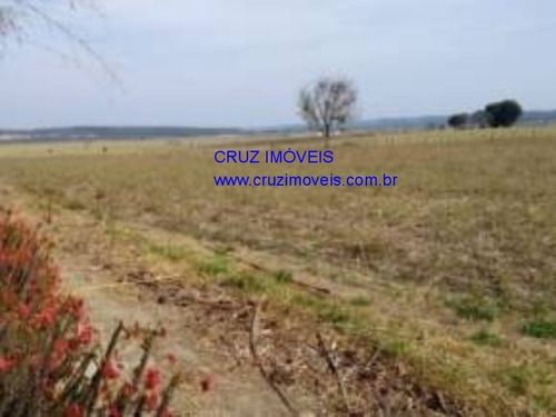 Imagem 21 de 30 de Chacara - Ch00040 - 4951181