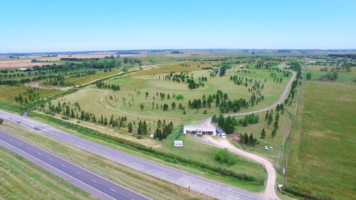Imagen 6 de 17 de Últimos Lotes En Venta En El Club De Campo Las Hojas