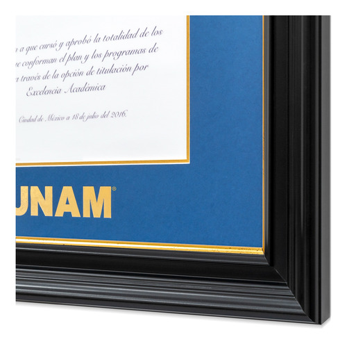 Marco Para Titulo Unam 40x50 Azul/ Filo Oro Negro/ Filo Oro