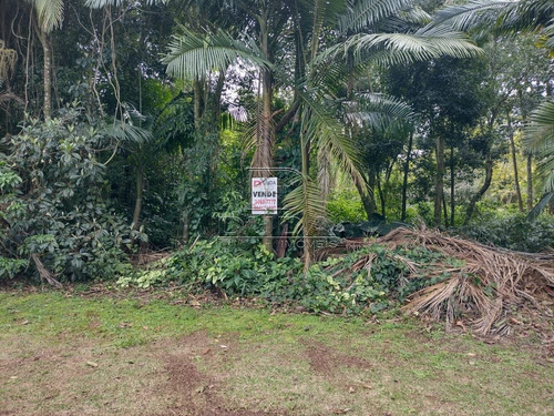 Imagem 1 de 1 de Terreno - Mina Brasil - Ref: 34182 - V-34179