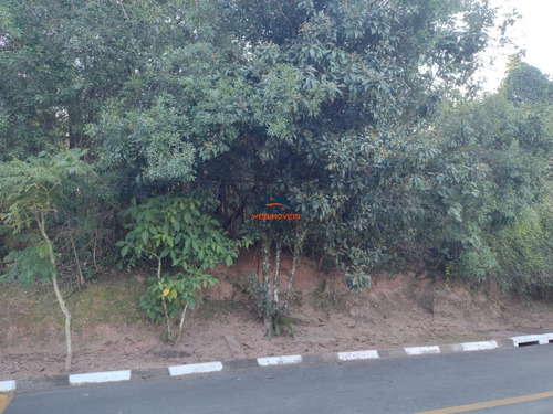 Imagem 3 de 4 de Terreno - Te00063 - 69839182