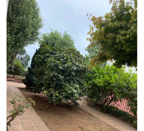 Excelente Casa Y Conectividad En Cerro Alegre