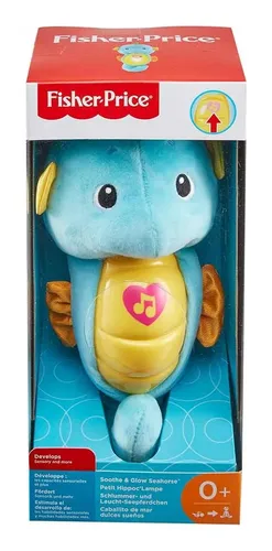 Caballito musical fisher price sales