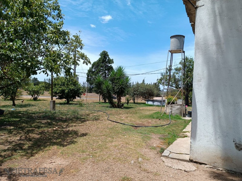 Imagen 1 de 5 de Chacra En Venta- Cno. Las Mulitas -melilla
