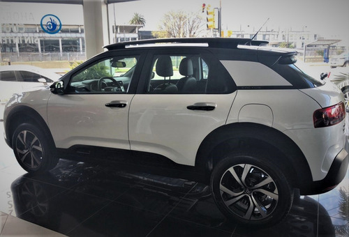 C4 Cactus Thp 165 Eat6 Shine Am21