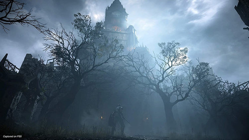Imagen 8 de 9 de Demon's Soul Para Ps5