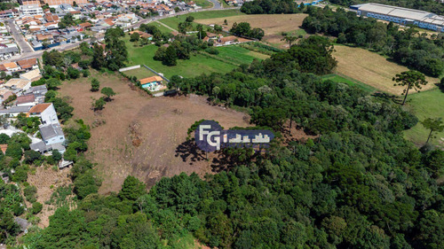 Imagem 12 de 30 de Terreno À Venda, 17538 M² Por R$ 3.500.000,00 - Guatupê - São José Dos Pinhais/pr - Te0074