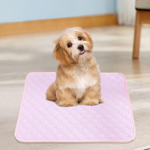 Almohadilla Lavable Para Orina De Perro, Almohadilla Xl