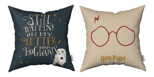 Imagen 1 de 3 de Combo Almohadones Almohadón Harry Potter Vellon Desmontable