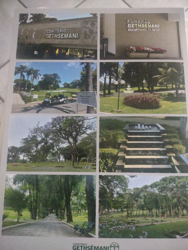 Vendo Um Jazigo Com 5 Gavetas, Excelente Localização No Cemi