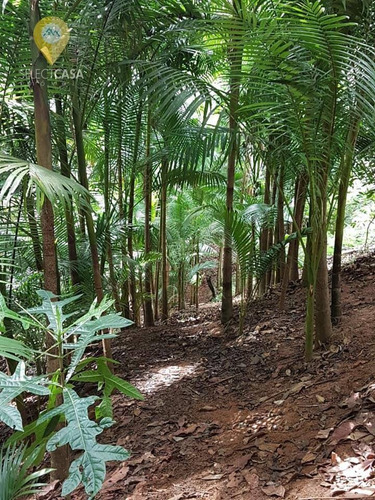 Imagem 13 de 30 de Sítio Com Cachoeira Privativa Em Santa Teresa. - Si0002