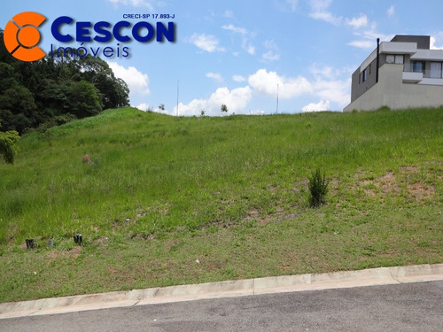 Imagem 4 de 4 de Terreno - Te00146 - 32042518