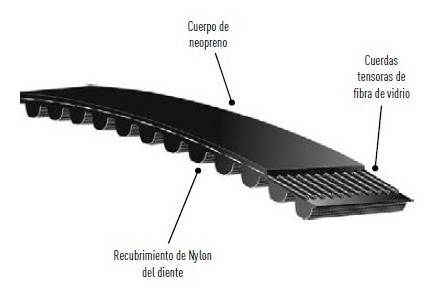 Banda Gates Sincronica Powergrip Timming 150l100