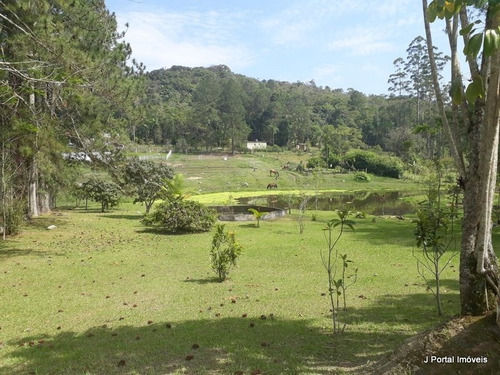 Imagem 17 de 30 de Chacara - 338 - 32981780