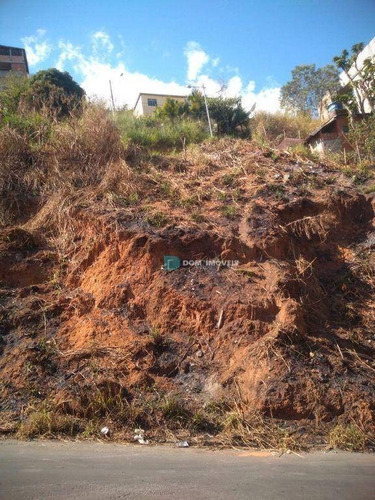Imagem 9 de 12 de Terreno À Venda, 520 M² Por R$ 56.000,00 - Lourdes - Juiz De Fora/mg - Te0236