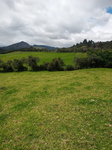 Venta Lote Vereda Pastor Ospina (guasca)