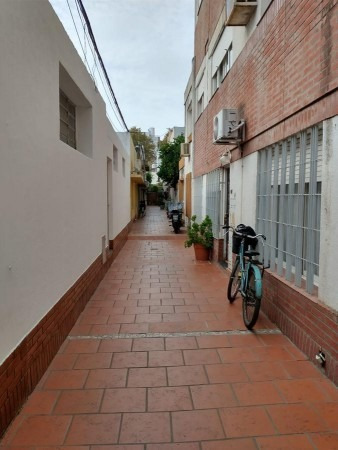 Imagen 4 de 10 de Departamento Tres Dormitorios Con Terraza Exclusiva