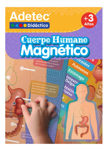 Láminas Magnéticas Cuerpo Humano Adetec