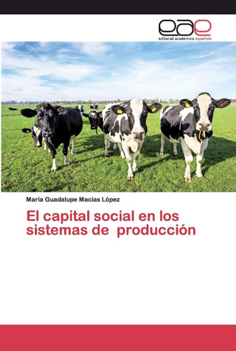 Libro: El Capital Social En Los Sistemas De Producción (span