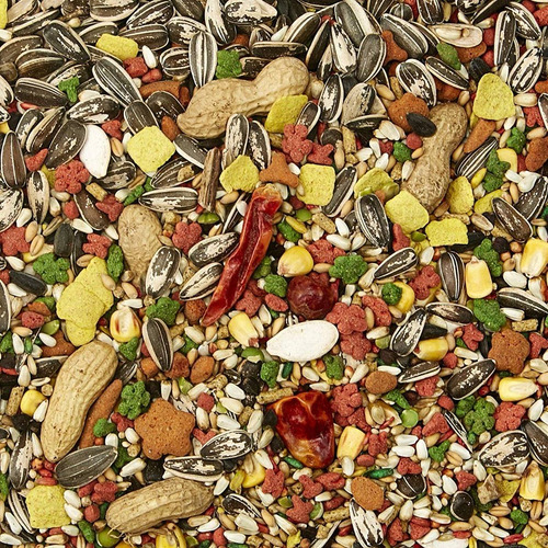 Imagen 3 de 5 de Alimento Premium Loros Kaytee Americano 1,81 Kg 4 Lb
