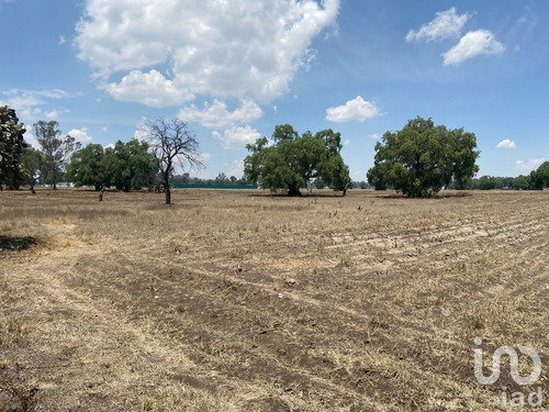 Venta Terreno 0 Ambiente San Andrés Jaltenco
