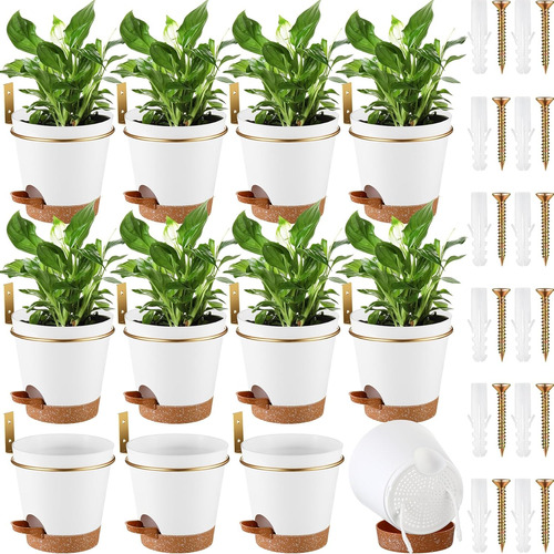 12 Sets Plantadores De Pared Para Plantas De Interior De 6 P