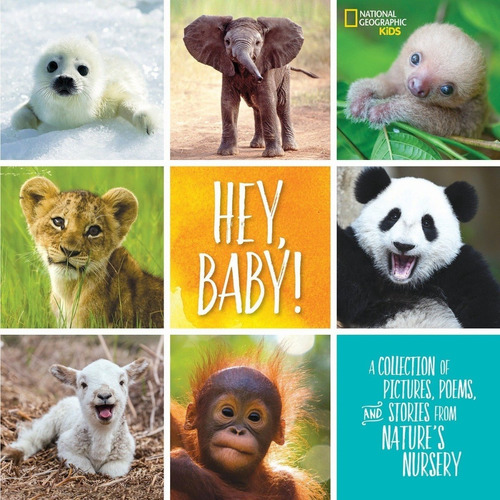 Livro Hey, Baby ! A Collection Of Pictures, Poems, And Stories From Nature's Nursery - Capa Dura