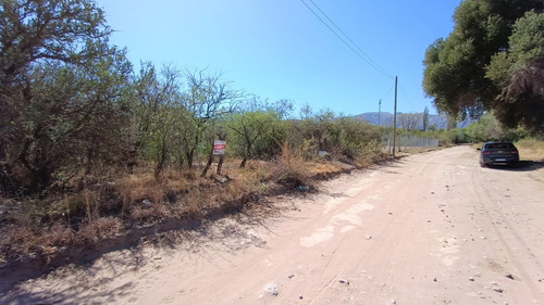 Terreno De 2500m2 (1/4 Ha) En Nogolí, San Luis, Con Luz Y Agua