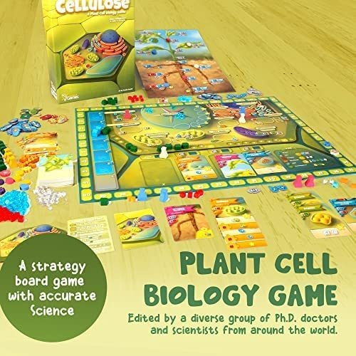Jogo de tabuleiro de celulose: biologia celular vegetal