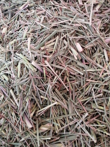 Te Limon (zacate Limon) Lemon Grass Seco 3 Kg