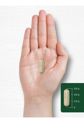 Supplement Carlyle Cordyceps Mushroom Extract 1000mg 150 Cap