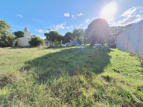 Lote En Playa De Los Lobos