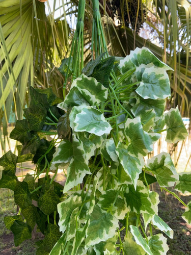 Imagen 4 de 10 de Planta Colgante Artificial Jardin Vertical Hiedra Pack X2