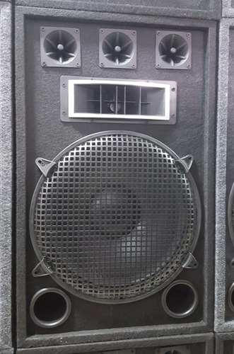 Imagen 5 de 10 de Bafle 15 Profesional 3 Vias 450w Bornera Manija