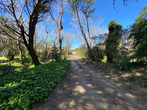 Imagen 5 de 6 de Lote Alamos Carilo A Metros Del Mar