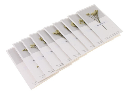 Paquete Flores Secas Tarjetas De Felicitación Amarillo