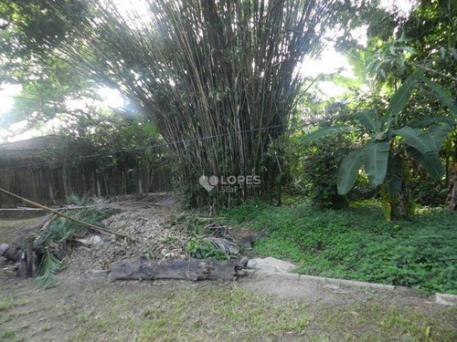 Imagem 8 de 11 de Terreno À Venda, 3094 M² Por R$ 1.200.000,00 - Vila Progresso - Niterói/rj - Te3052